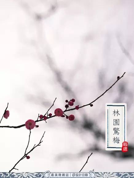 冬至是陽氣最弱的一天！六大禁忌「千萬別傻到去做」 小心明年走衰運