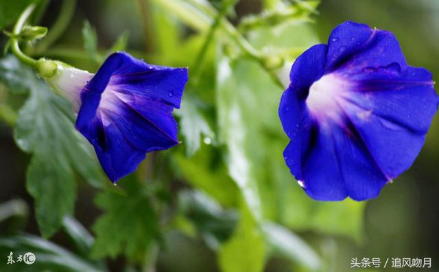 他趕回家看望媽媽，繼父卻攔住不給進門！他闖入後「看見一幕」倒吸一口涼氣