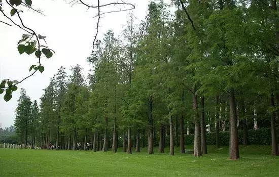 家裡鋪木地板、還是瓷磚好？「專家精闢解析」網友驚呼：為了老人小孩趕快換