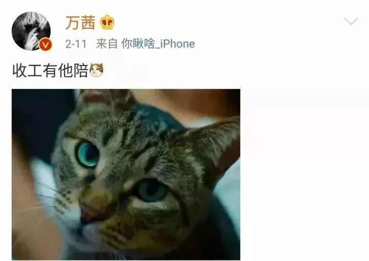 何時當媽的？曾是張孝全戀人，被埋沒多年「嫁了神秘老公」低調生女活成贏家！