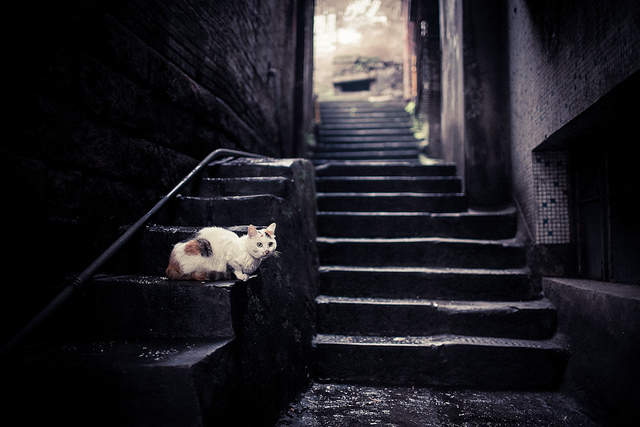 他驚覺「老婆偷吃」卻裝沒事，耐心策劃等到老婆生日...在全家人面前獻上「最猛生日驚喜」！