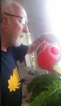 癌妻臨終遺言交代「記得每天澆花」，癡情老公照做5年才發現是「老婆最後一場惡作劇」邊笑邊流淚！