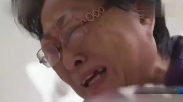 再也不會痛了...主人全程陪伴「18歲愛犬安樂死」，替牠「最後一次穿衣服」崩潰大哭：真的對不起...