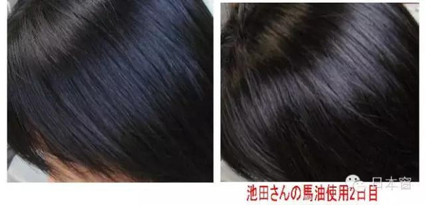 秋冬皮膚乾燥！日本馬油太實用了「全身保濕」六大用法大公開「護膚祛斑」 歡迎分享學習