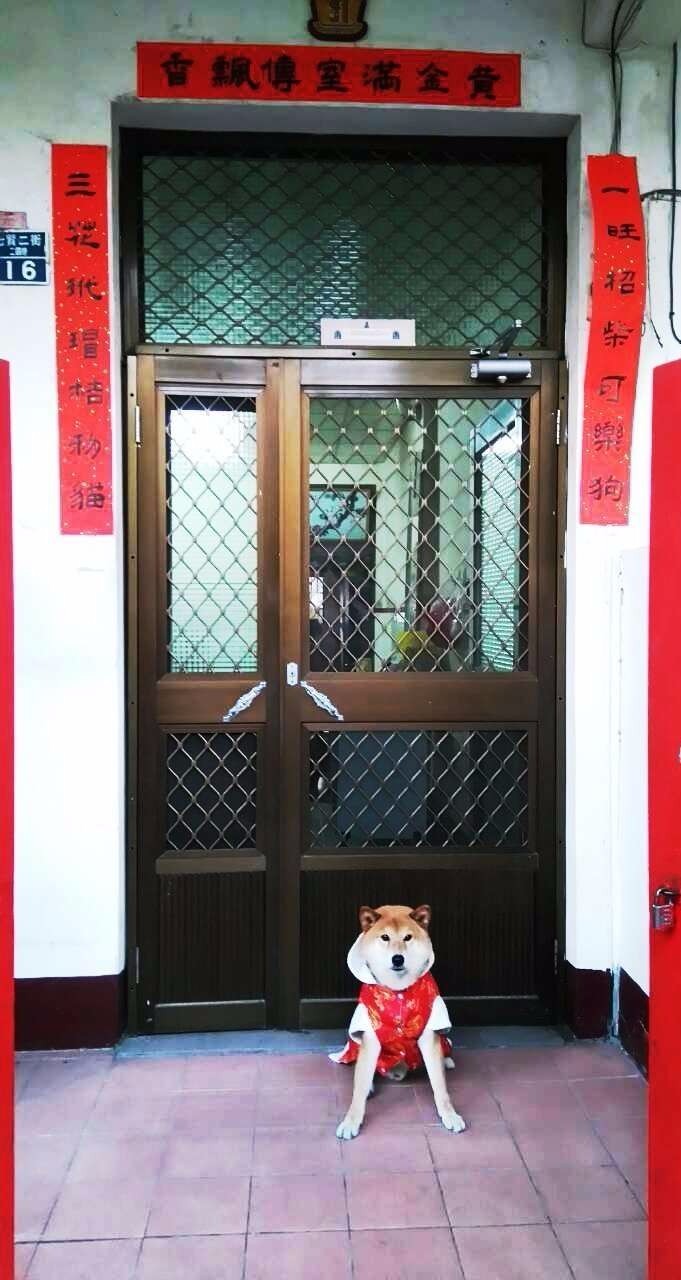 史上「最貪心春聯」曝光！這7種「超狂心願」連阿嬤看了都傻眼！