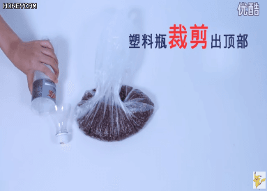 洗衣液瓶別再扔了「只要剪兩剪」價值翻百倍，超實用