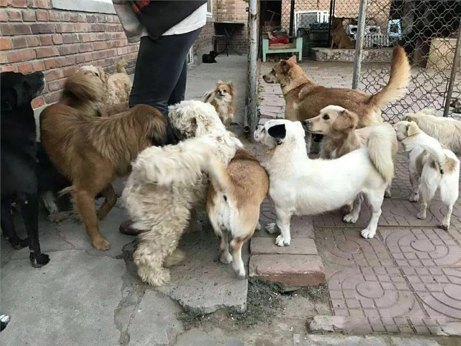 我嫌婆婆婚宴上「打包剩菜」讓我丟臉，回家無意間看到婆婆竟然在...我決定從此好好孝順她！