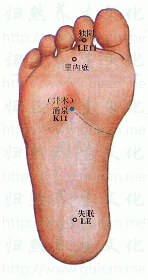 原來「手常麻 、小腿易抽筋」竟是內臟在求救！99%的人不知道，晚看後悔一輩子
