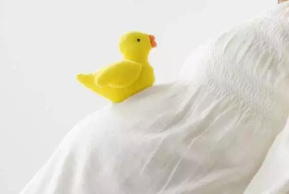「生什麼病  忌什麼口」留著一張養生表，不用問醫生