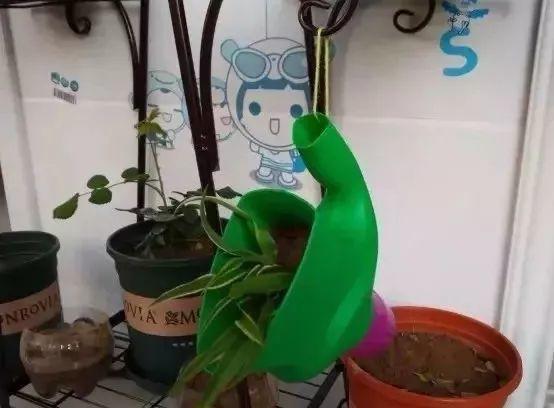 洗衣液桶千萬別扔「剪一剪掛插座上」家人說我超聰明