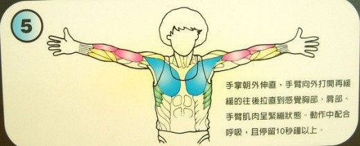 天天拉筋3個月瘦 10公斤？！教你「12式全身伸展操」趕快學起來～～