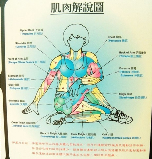 天天拉筋3個月瘦 10公斤？！教你「12式全身伸展操」趕快學起來～～