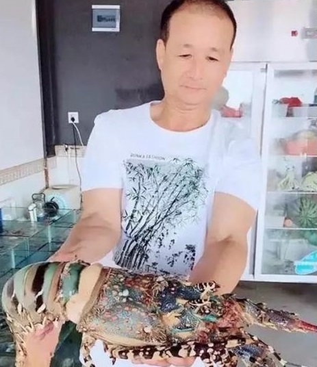 貪心的下場！漁夫釣到「龍蝦之王」價值破450萬　「不放生也不肯賣」5天後讓他付出代價