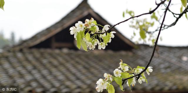「清明節5大禁忌」不可不知！尤其#2千萬別穿「這個顏色」的衣服掃墓，否則會…
