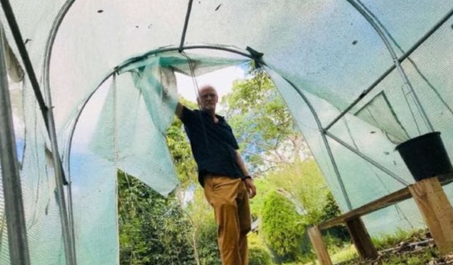 他違法偷種大 麻「天天餵女兒」，當警察找上門「全世界卻跳出來求情」：他是好爸爸！