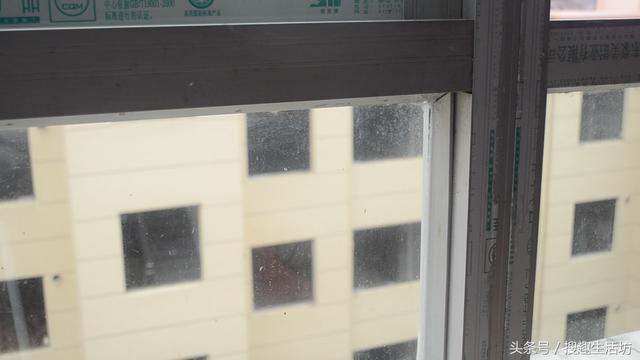 喝不完的「啤酒」別急著倒！把它和「鹽」攪拌，竟能解決家家戶戶的困擾！