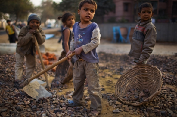 印度土豪準備「1000顆雞蛋」是為了…背後真相讓全球網友超感動！