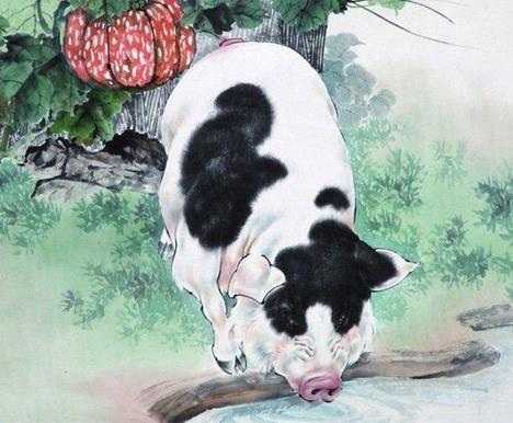 「這些生肖」晚年最享福？快看看自己有沒有上榜~