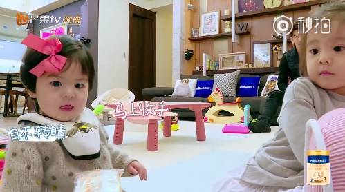 女兒見餅乾秒伸手！修杰楷「嚴肅一句話」咘咘立刻放棄　網大讚：家教超成功