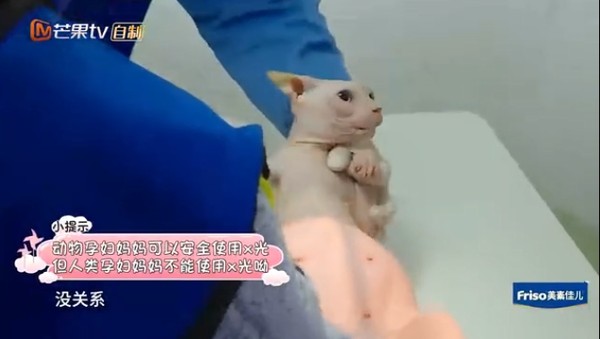 嗯哼「陪懷孕的她產檢」暖男力爆發！想跟進診間被阻止「急得對她大喊...」網友全被融化！