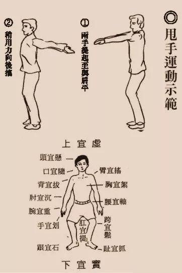 每日堅持「甩手運動」，長期調養「體質」差很多，趕緊一起動起來吧！