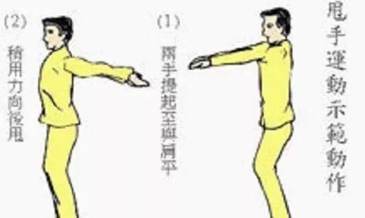 每日堅持「甩手運動」，長期調養「體質」差很多，趕緊一起動起來吧！
