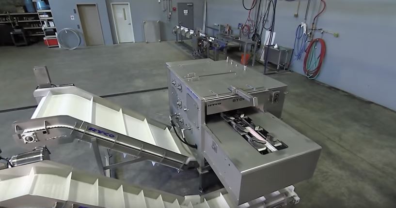 蟹肉這樣來的！機器自動化「快手剝蟹殼」超火速，網友狂流口水：「蟹黃炸出來了！」