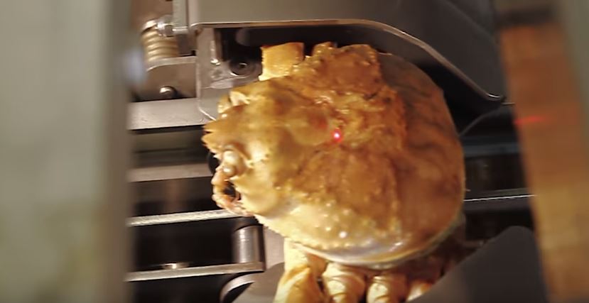 蟹肉這樣來的！機器自動化「快手剝蟹殼」超火速，網友狂流口水：「蟹黃炸出來了！」