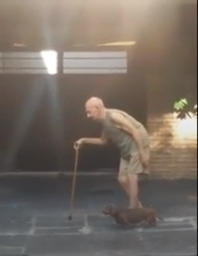 老人拄拐杖慢慢走，狗狗乖乖停在身旁等…「猶如家人的互動」讓網友全熱淚盈眶！