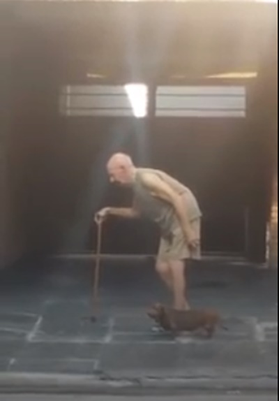 老人拄拐杖慢慢走，狗狗乖乖停在身旁等…「猶如家人的互動」讓網友全熱淚盈眶！