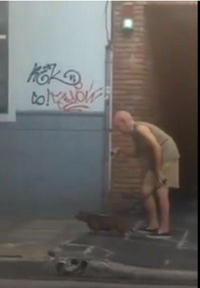 老人拄拐杖慢慢走，狗狗乖乖停在身旁等…「猶如家人的互動」讓網友全熱淚盈眶！