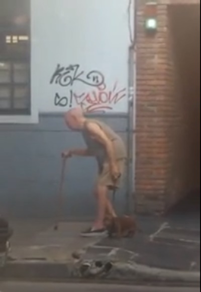 老人拄拐杖慢慢走，狗狗乖乖停在身旁等…「猶如家人的互動」讓網友全熱淚盈眶！