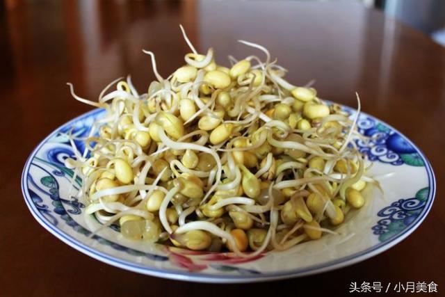 市售「豆芽菜」買得不安心？自己在家就能種，想吃隨手能抓一大把！