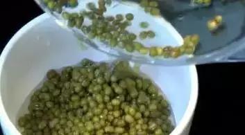 教你3分鐘把「綠豆煮開花」，自己在家就能煮出「綠豆湯」好喝又消暑！