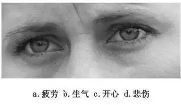 【眼力測驗】據說100個人中只有3個人找到兔子，快來測看看你的眼力有多好！
