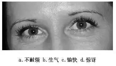 【眼力測驗】據說100個人中只有3個人找到兔子，快來測看看你的眼力有多好！