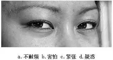 【眼力測驗】據說100個人中只有3個人找到兔子，快來測看看你的眼力有多好！