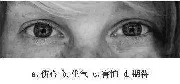 【眼力測驗】據說100個人中只有3個人找到兔子，快來測看看你的眼力有多好！
