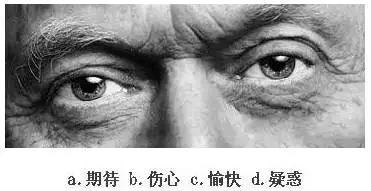 【眼力測驗】據說100個人中只有3個人找到兔子，快來測看看你的眼力有多好！