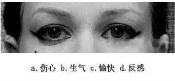 【眼力測驗】據說100個人中只有3個人找到兔子，快來測看看你的眼力有多好！