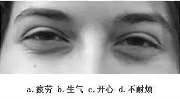 【眼力測驗】據說100個人中只有3個人找到兔子，快來測看看你的眼力有多好！