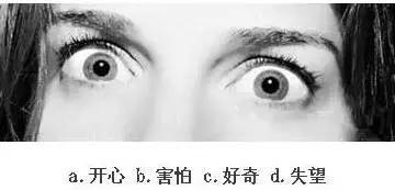 【眼力測驗】據說100個人中只有3個人找到兔子，快來測看看你的眼力有多好！