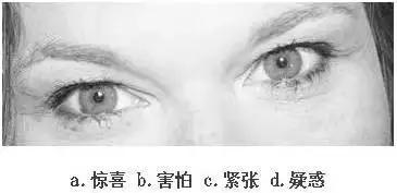【眼力測驗】據說100個人中只有3個人找到兔子，快來測看看你的眼力有多好！