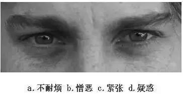 【眼力測驗】據說100個人中只有3個人找到兔子，快來測看看你的眼力有多好！