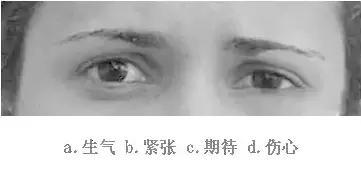 【眼力測驗】據說100個人中只有3個人找到兔子，快來測看看你的眼力有多好！