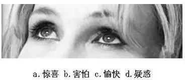 【眼力測驗】據說100個人中只有3個人找到兔子，快來測看看你的眼力有多好！