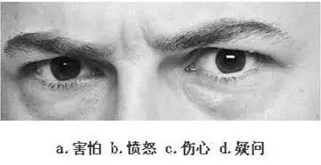 【眼力測驗】據說100個人中只有3個人找到兔子，快來測看看你的眼力有多好！