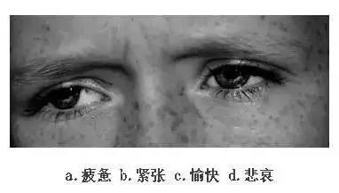 【眼力測驗】據說100個人中只有3個人找到兔子，快來測看看你的眼力有多好！