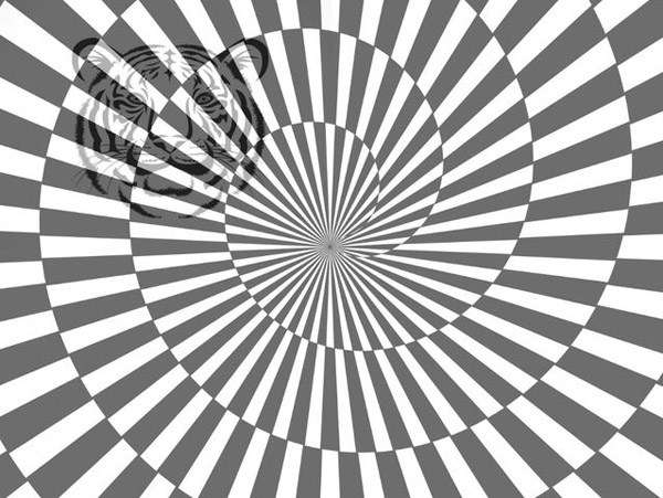 【測驗】性格內向的人才看得見「圖中隱藏的秘密」，快來測看看自己是不是個害羞的人吧！