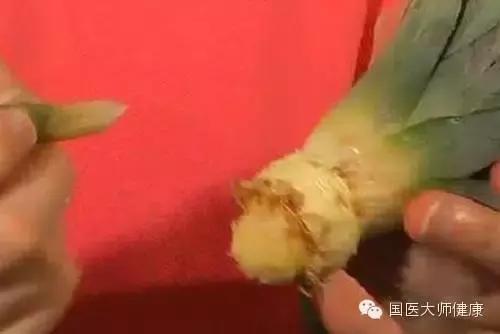 當你切鳳梨時「千萬記得不要把頂花丟掉」！90%的人不知道它的超神奇的用途